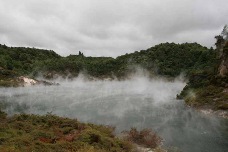 Nieuw-Zeeland 2011 - 0694